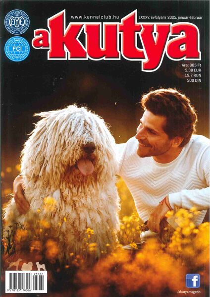 A KUTYA MAGAZIN H