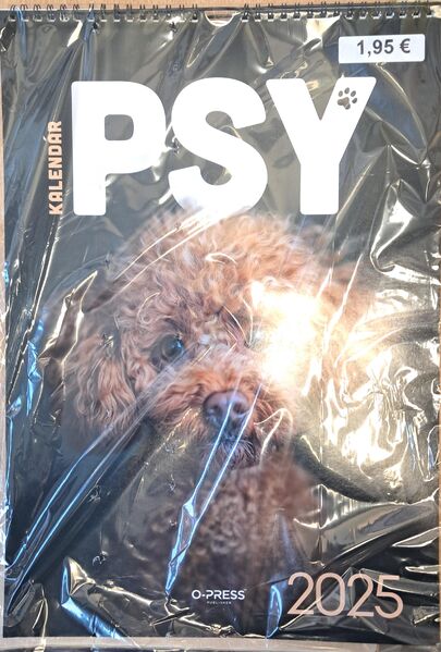2025 KALENDAR - PSI A3