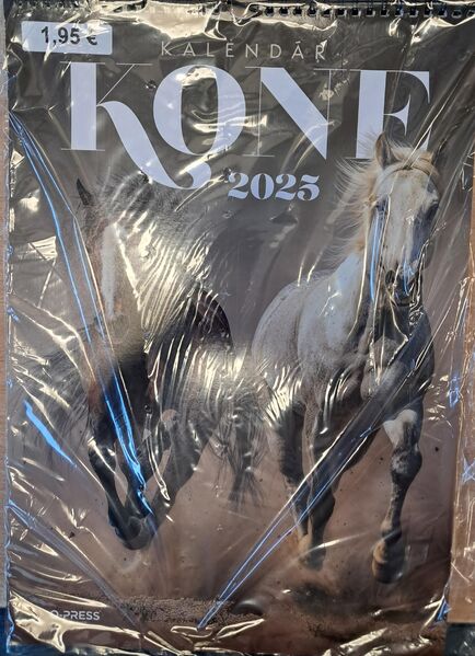 2025 KALENDAR - KONE A3